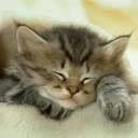 chat